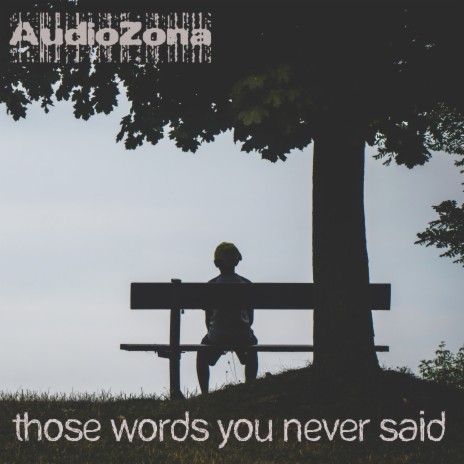 Those Words You Never Said | Boomplay Music