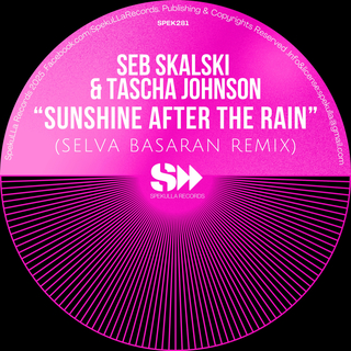 Sunshine After The Rain (Selva Basaran Remix)