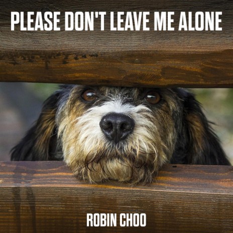 Please Don't Leave Me Alone | Boomplay Music
