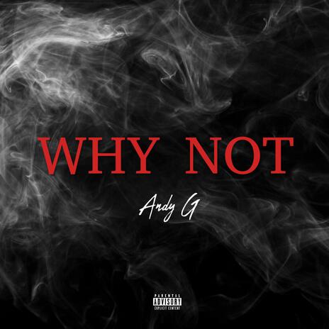 WHY NOT | Boomplay Music