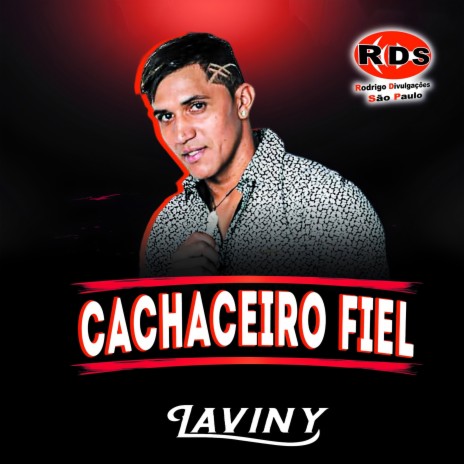 Cachaceiro Fiel | Boomplay Music