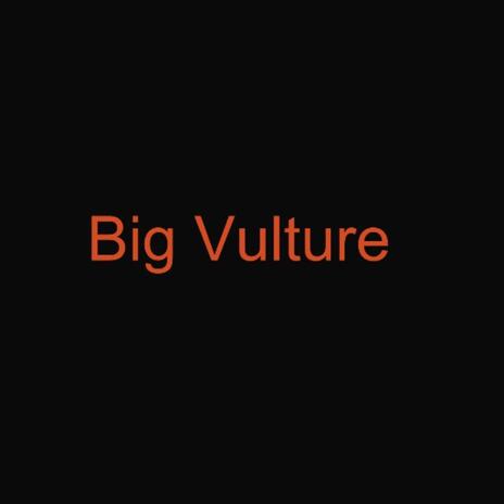 Big Vulture | Boomplay Music