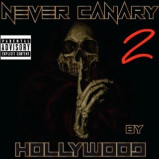Never Canary 2