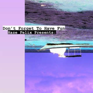 Haze Felix Presents: Don't Forget To Have Fun