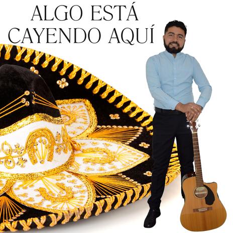 Algo está cayendo aqui | Boomplay Music