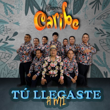 Tú Llegaste a Mi | Boomplay Music