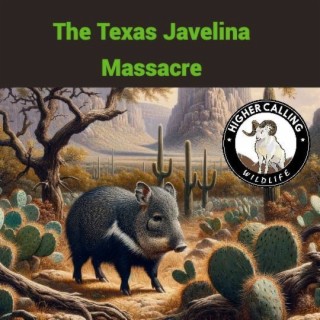 The Texas Javelina Massacre