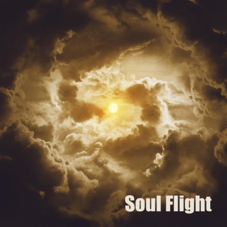 Soul Flight | Boomplay Music