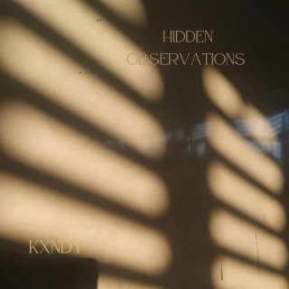 Hidden Observations