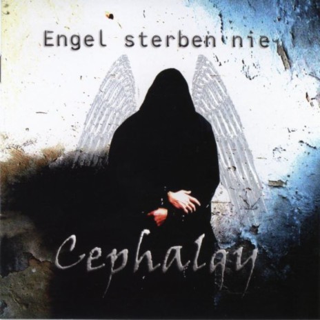 Engel Sterben Nie | Boomplay Music