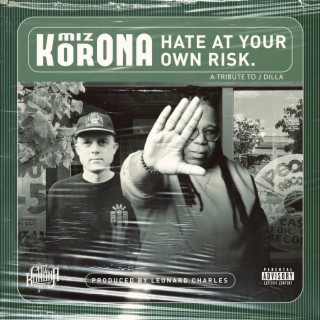 Hate At Your Own Risk lyrics | Boomplay Music