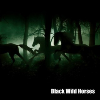 Black Wild Horses