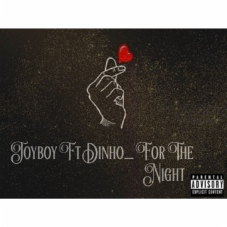 FOR THE NIGHT ft. DINHO lyrics | Boomplay Music