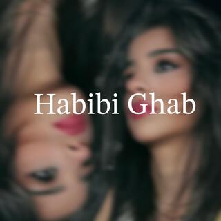 Habibi ghab