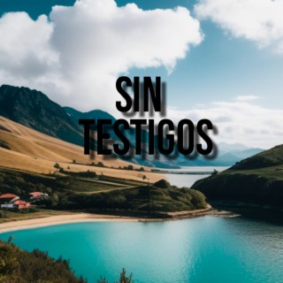 Sin Testigos