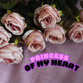 Princess of My Heart