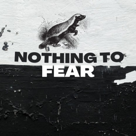 Nothing to fear