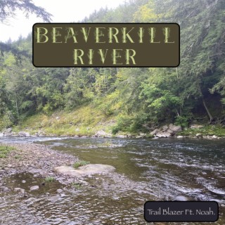 Beaverkill River