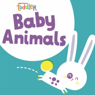 Toddler Beats: Baby Animals