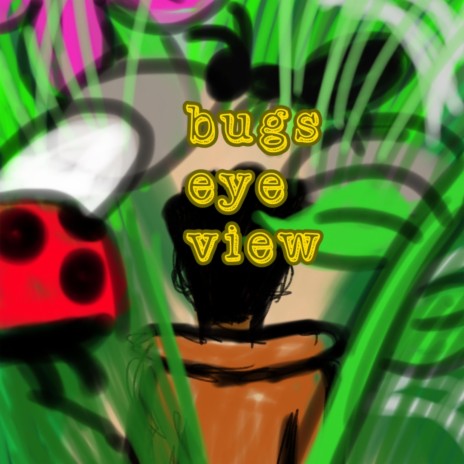 bugs eye view