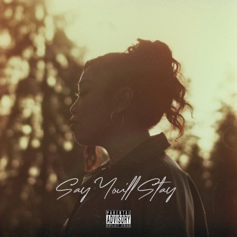 Say You'll Stay | Boomplay Music