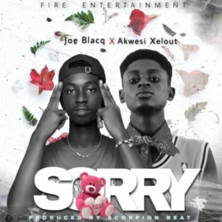 Sorry ft. Akwesi Xelout lyrics | Boomplay Music