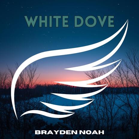 White Dove | Boomplay Music