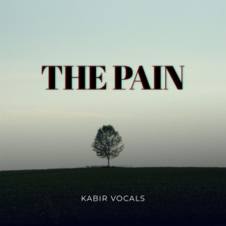 The Pain lyrics | Boomplay Music