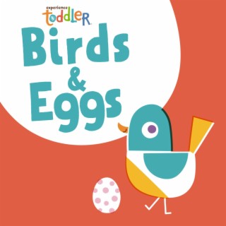 Toddler Beats: Birds & Eggs