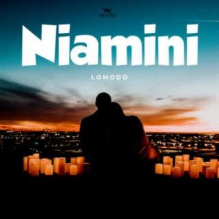 Niamini lyrics | Boomplay Music