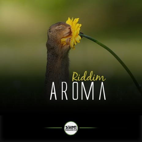 Aroma Riddim | Boomplay Music
