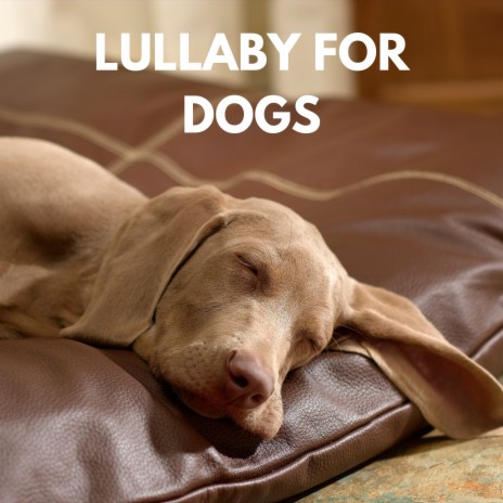 Lullaby for Dogs ft. Relax My Dog Music & Dog Music | Boomplay Music