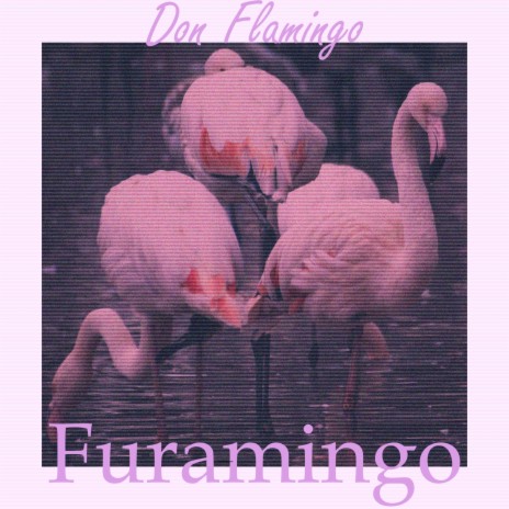 Furamingo | Boomplay Music