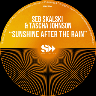 Sunshine After The Rain 2025 Mixes