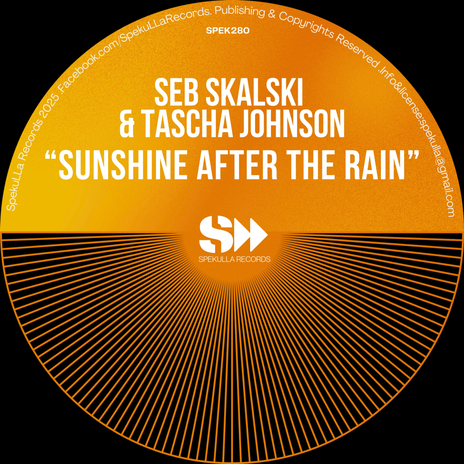 Sunshine After The Rain 2025 Mixes (2025 Radio Mix) ft. Tascha Johnson | Boomplay Music