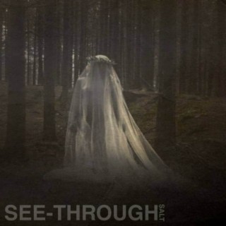 See-through