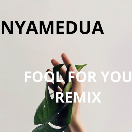 Fool For You (Remix)