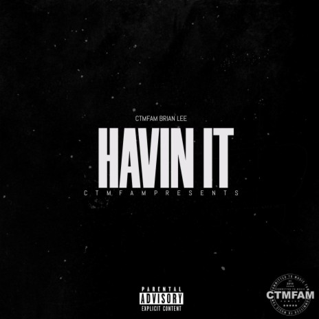 Havin It | Boomplay Music