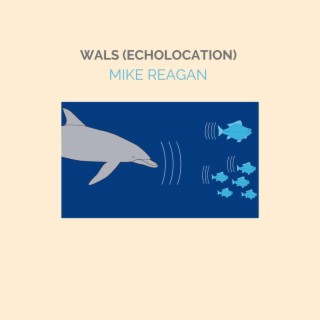 WALS (ECHOLOCATION)