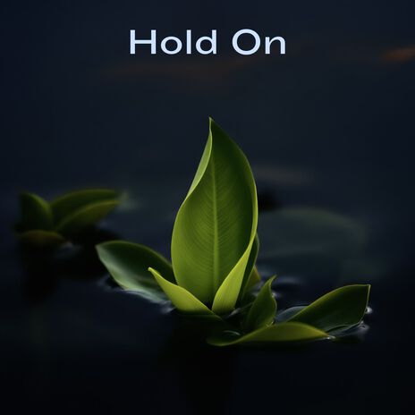 Hold On | Boomplay Music