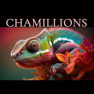 Chamillions