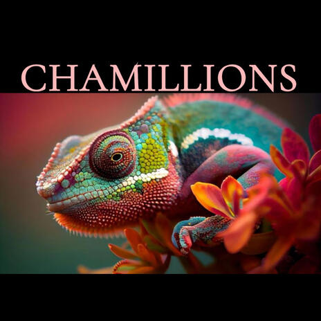 Chamillions | Boomplay Music