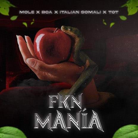 Fkn Mania ft. Bca, Italian Somali & T.O.T | Boomplay Music