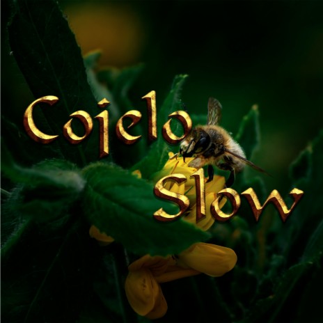Cojelo Slow | Boomplay Music