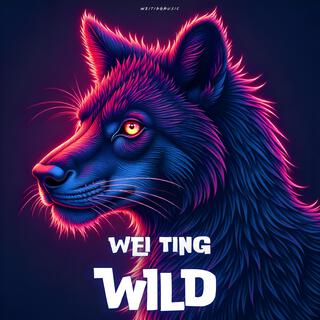 Wild (Original Mix) lyrics | Boomplay Music