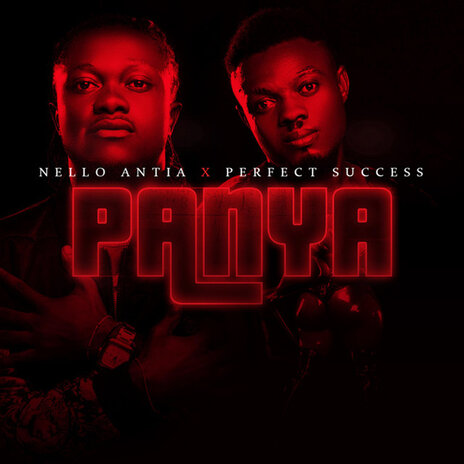 Panya ft. Perfect Success | Boomplay Music