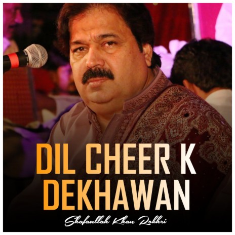 Dil Cheer K Dekhawan. | Boomplay Music