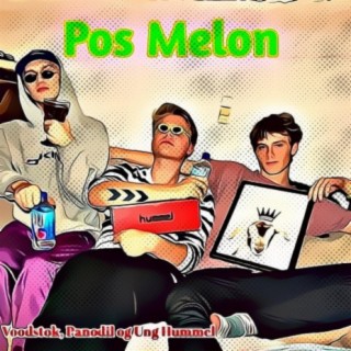 Pos Melon