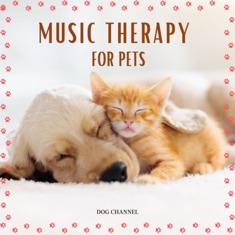 Relaxing Piano Song for Wonderful Pets
