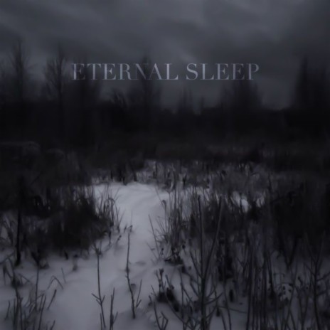 Eternal Sleep | Boomplay Music